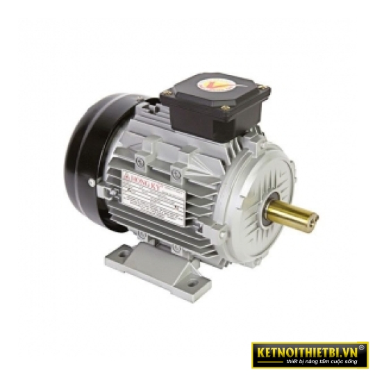 Mô tơ vỏ nhôm 10HP Hồng Ký HKM1034VN