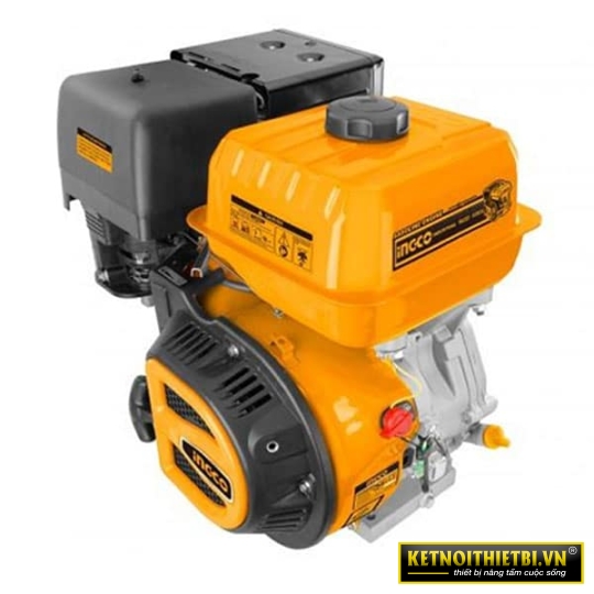 Động cơ nổ xăng INGCO GEN1681-1