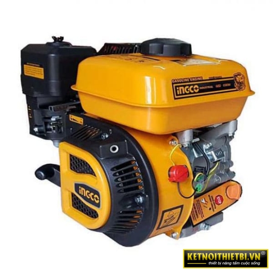 Động cơ nổ xăng INGCO GEN1682-1