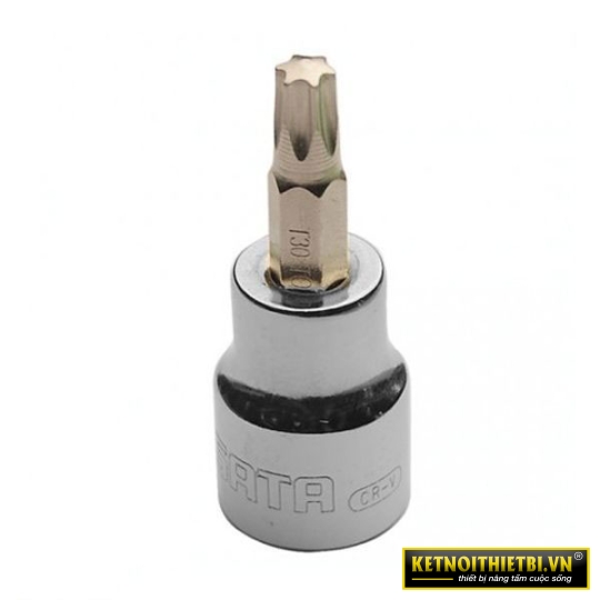 Đầu tuýp mũi sao 3/8in &#8211; T10 Sata 22101