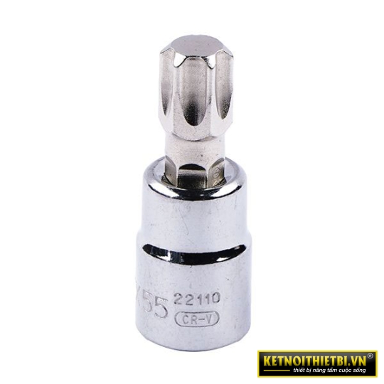 Đầu tuýp mũi sao 3/8in &#8211; T55 Sata 22110